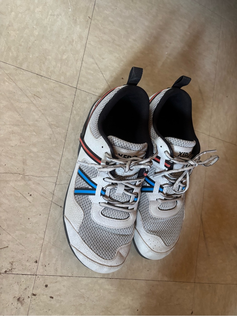 Xero Men’s White Athletic Shoes with Blue Accent